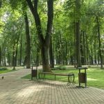 В с. Кожевниково будет продолжено обустройство  парка культуры (